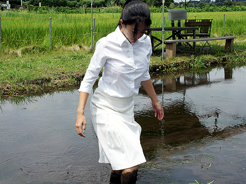 Japanese Wetandmessy With Suit Or Outfit For Office Playing With Mud In A Fallow Rice Field